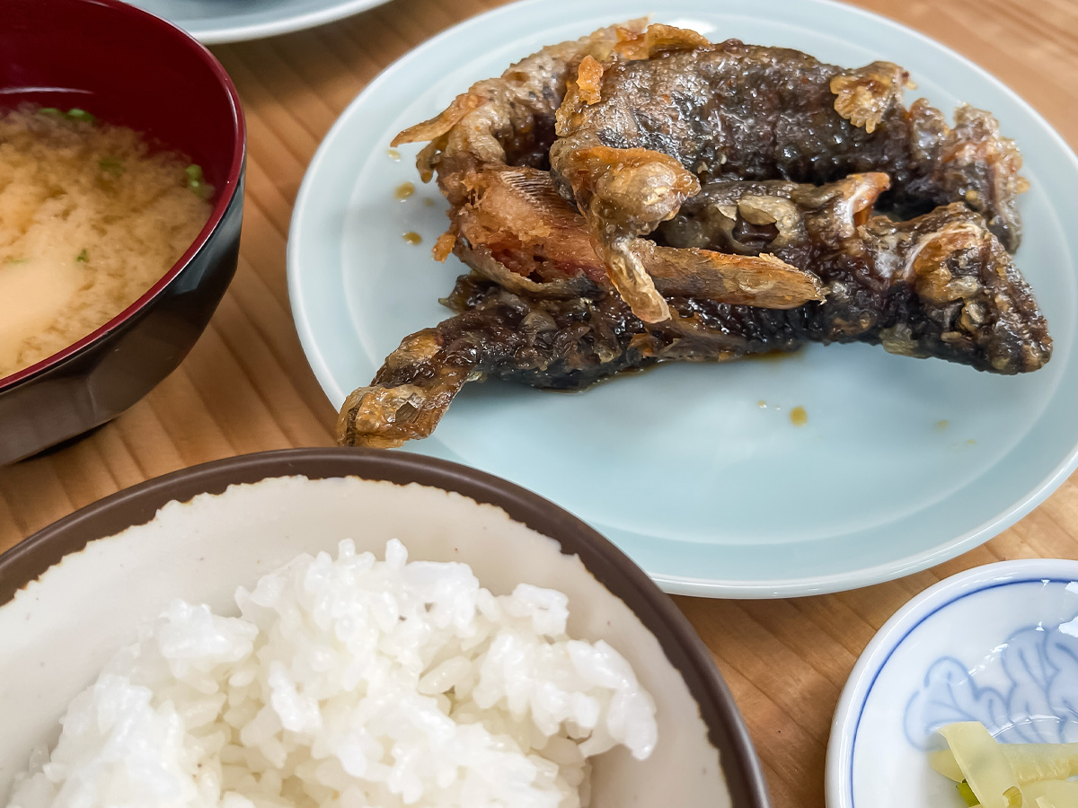 つり堀亭「にしむら」で渓流魚アマゴとイワナ釣って料理にしてもらったよ/広島県吉和