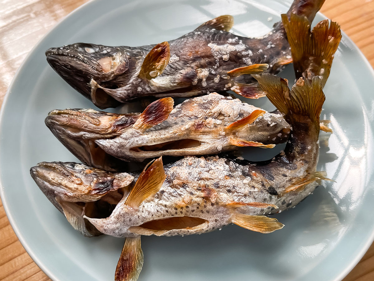 つり堀亭「にしむら」で渓流魚アマゴとイワナ釣って料理にしてもらったよ/広島県吉和