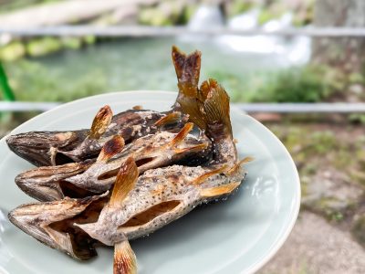 つり堀亭「にしむら」で渓流魚アマゴとイワナ釣って料理にしてもらったよ／広島県吉和