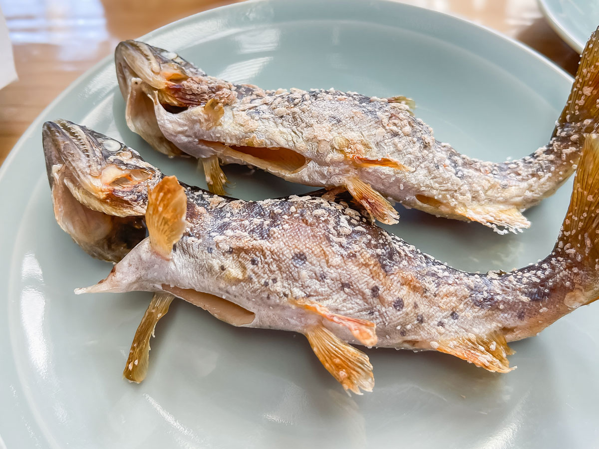 つり堀亭「にしむら」で渓流魚アマゴとイワナ釣って料理にしてもらったよ/広島県吉和