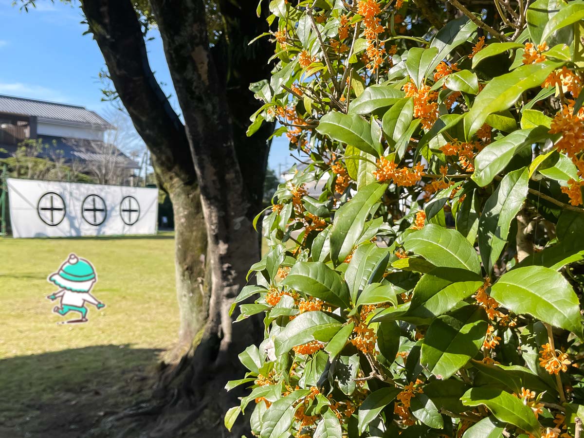 「都城島津邸」と「伝承館」に行ってみたよ！／宮崎県都城市