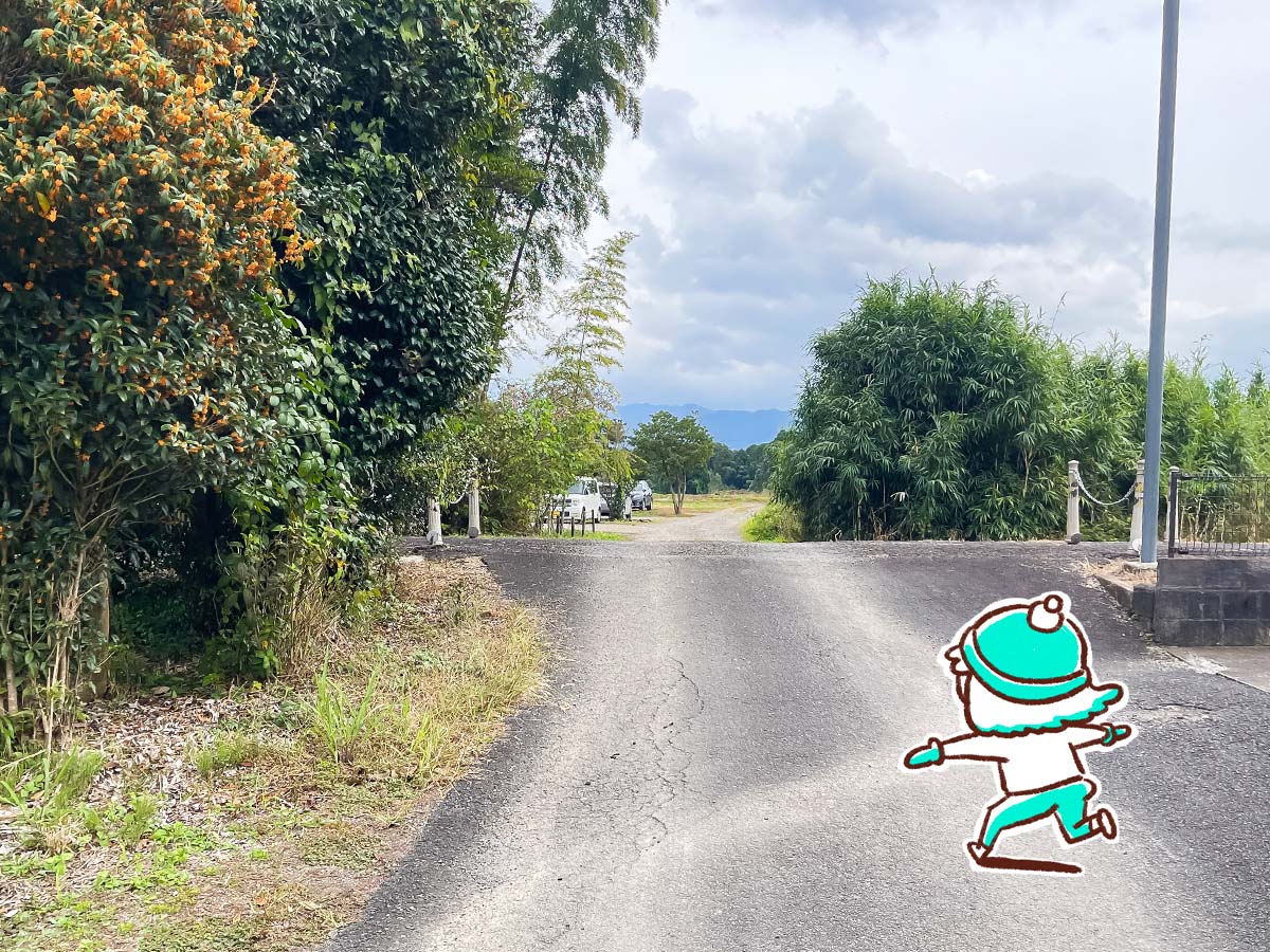 「スパイスカレー然(ぜん)」でチキンカレーとスパイスソボロカレー食べたよ！／宮崎県都城市