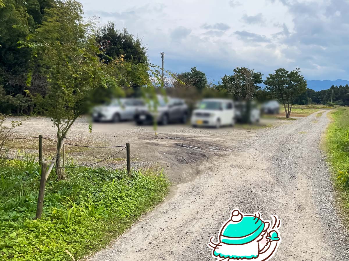 「スパイスカレー然(ぜん)」でチキンカレーとスパイスソボロカレー食べたよ！／宮崎県都城市