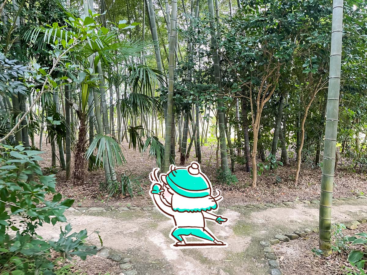 「スパイスカレー然(ぜん)」でチキンカレーとスパイスソボロカレー食べたよ！／宮崎県都城市