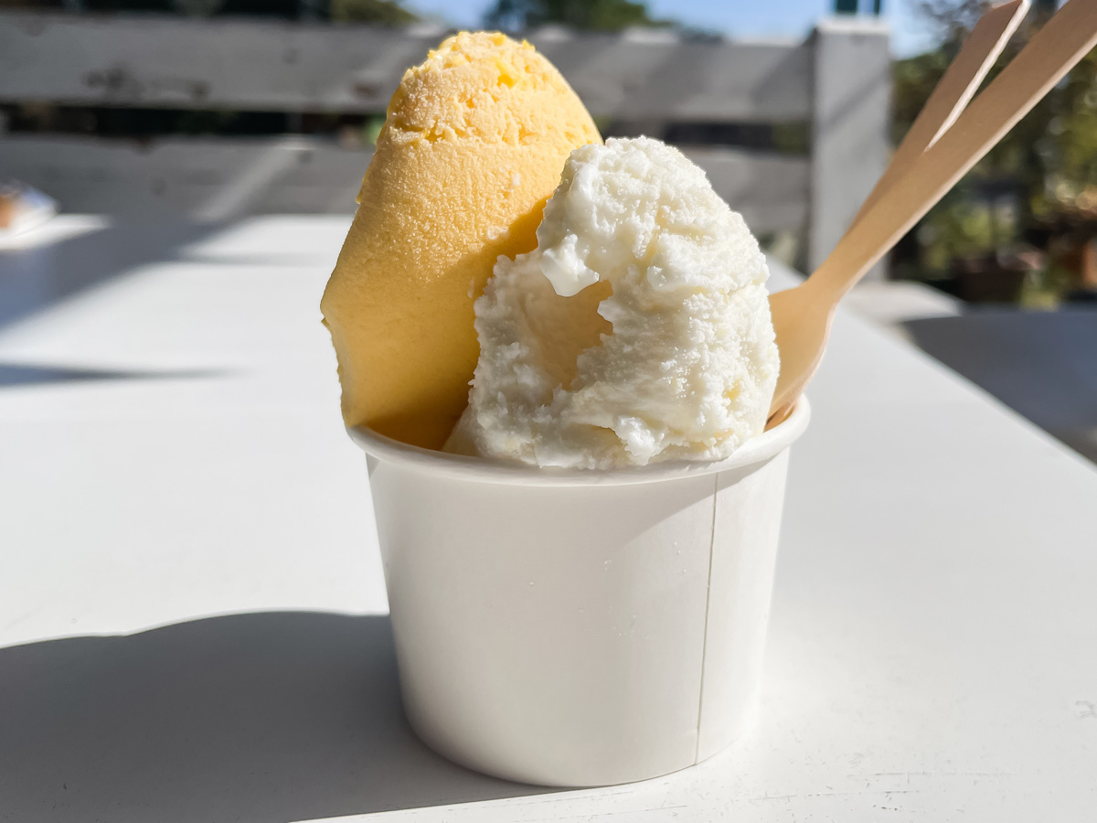 「五粒に種」でハラペーニョジェラートとねぎハムチーズサンド食べた!/宮崎県都城市ふくろうの会内