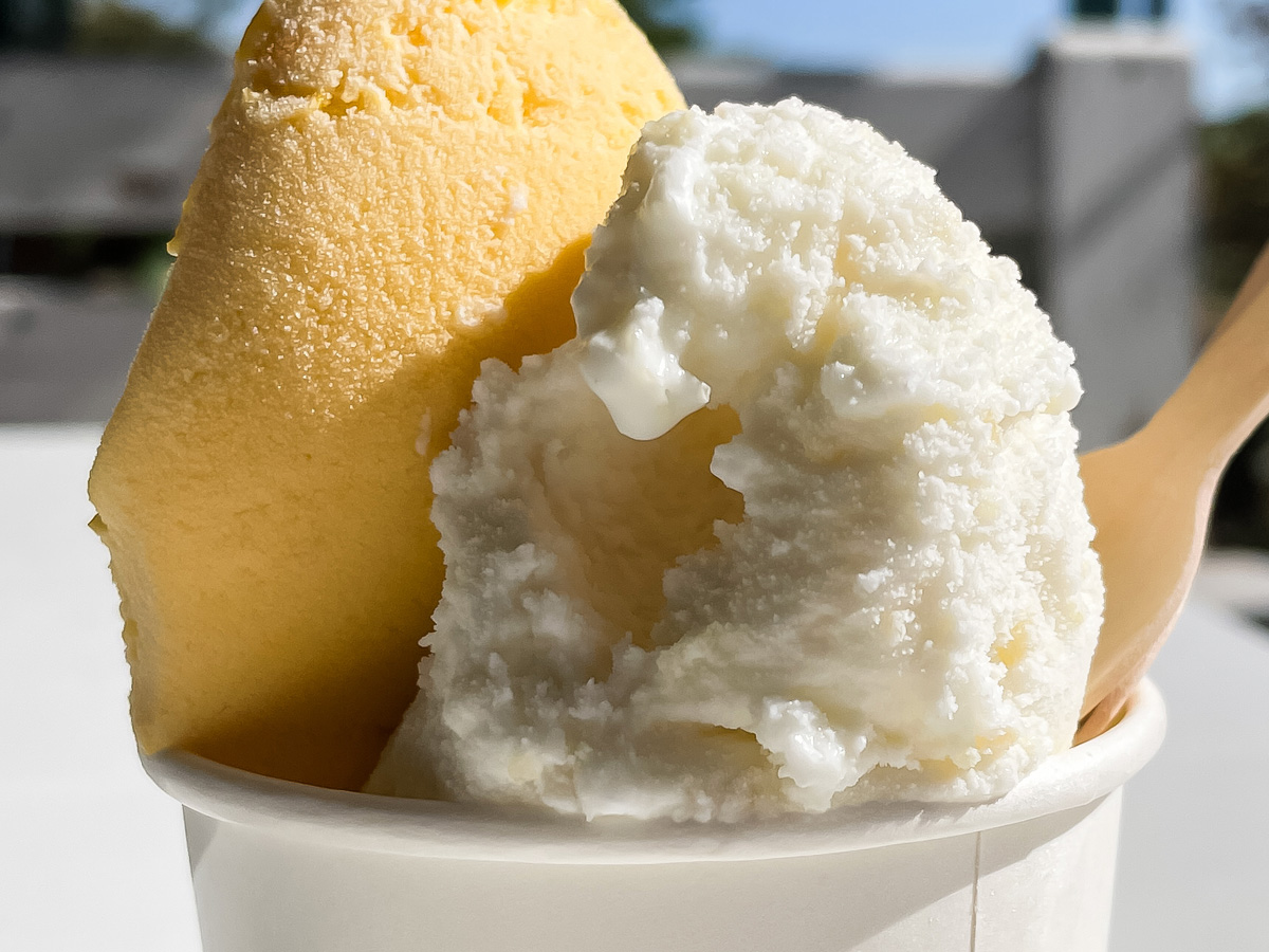 「五粒に種」でハラペーニョジェラートとねぎハムチーズサンド食べた!/宮崎県都城市ふくろうの会内