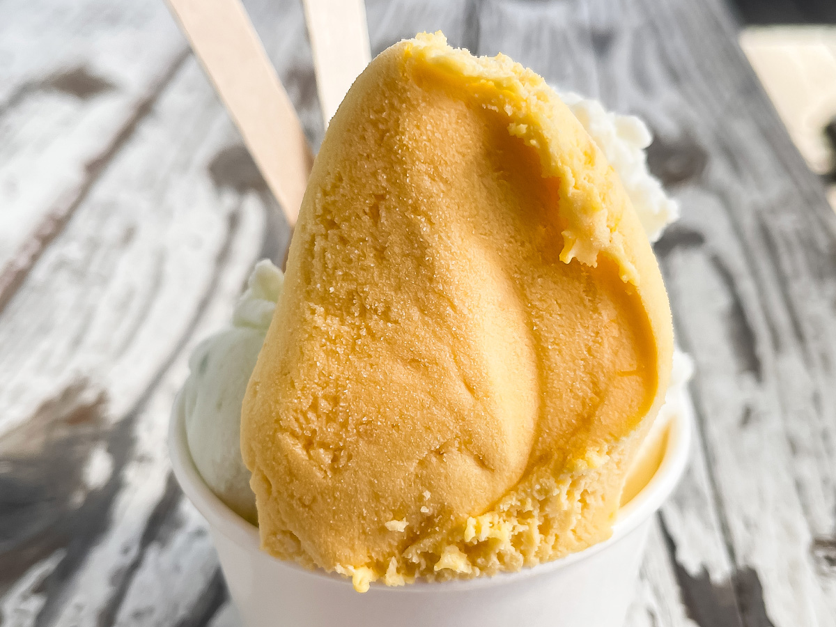 「五粒に種」でハラペーニョジェラートとねぎハムチーズサンド食べた!/宮崎県都城市ふくろうの会内