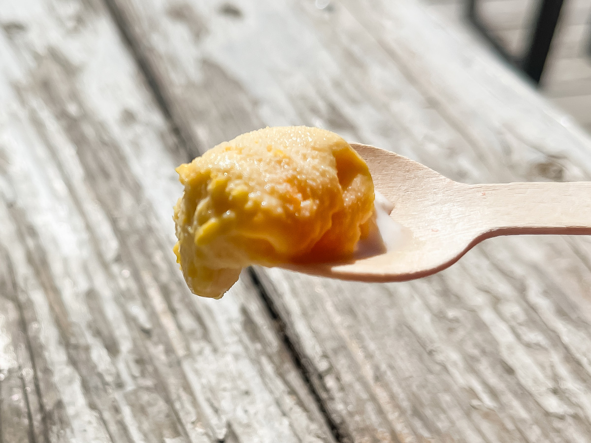 「五粒に種」でハラペーニョジェラートとねぎハムチーズサンド食べた!/宮崎県都城市ふくろうの会内