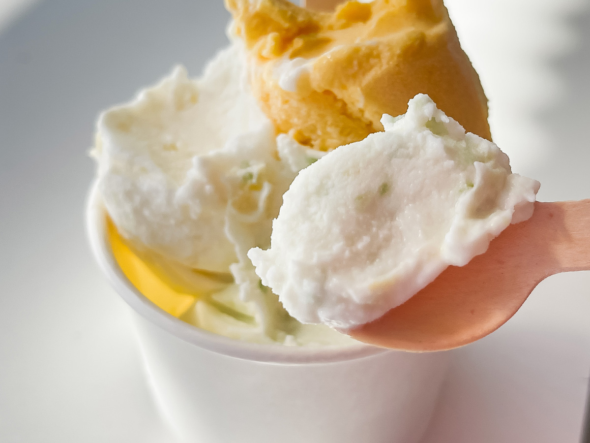 「五粒に種」でハラペーニョジェラートとねぎハムチーズサンド食べた!/宮崎県都城市ふくろうの会内