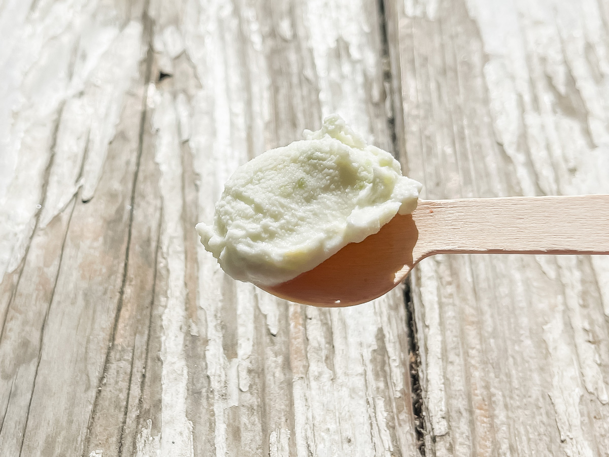 「五粒に種」でハラペーニョジェラートとねぎハムチーズサンド食べた!/宮崎県都城市ふくろうの会内