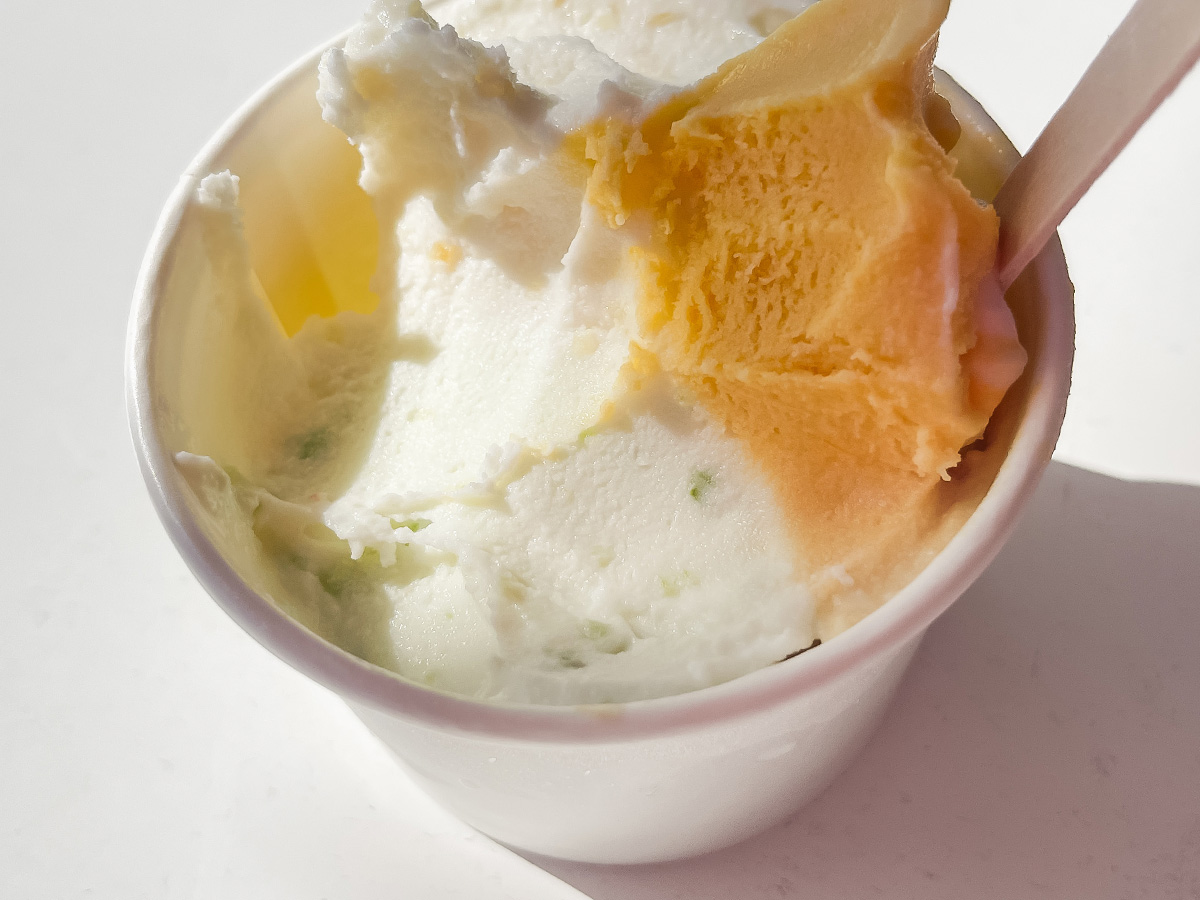 「五粒に種」でハラペーニョジェラートとねぎハムチーズサンド食べた!/宮崎県都城市ふくろうの会内