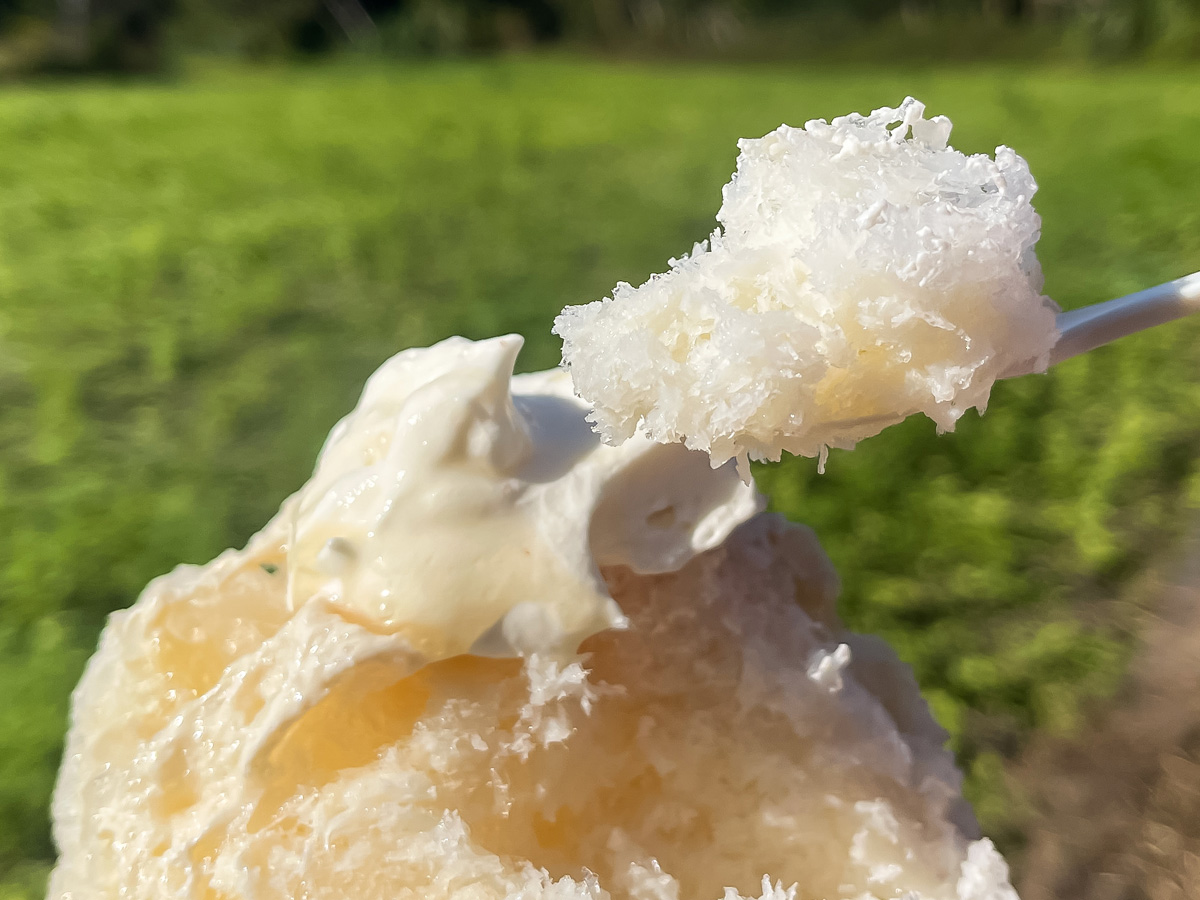 「水菓子屋」でクリームのせ蜂蜜レモンかき氷買ってみたよ!/宮崎県都城市