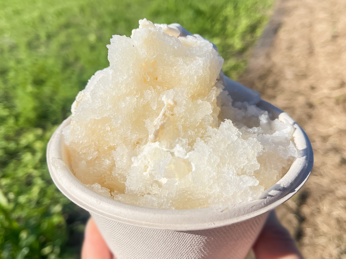 「水菓子屋」でクリームのせ蜂蜜レモンかき氷買ってみたよ!/宮崎県都城市