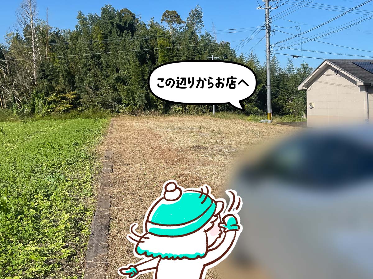 「水菓子屋」でクリームのせ蜂蜜レモンかき氷買ってみたよ!/宮崎県都城市