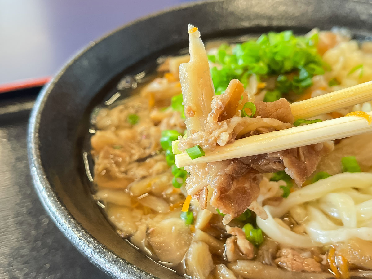 「ふたみうどん研究所」で、極の肉ごぼううどん(かけ)食べたよ！／宮崎県都城市