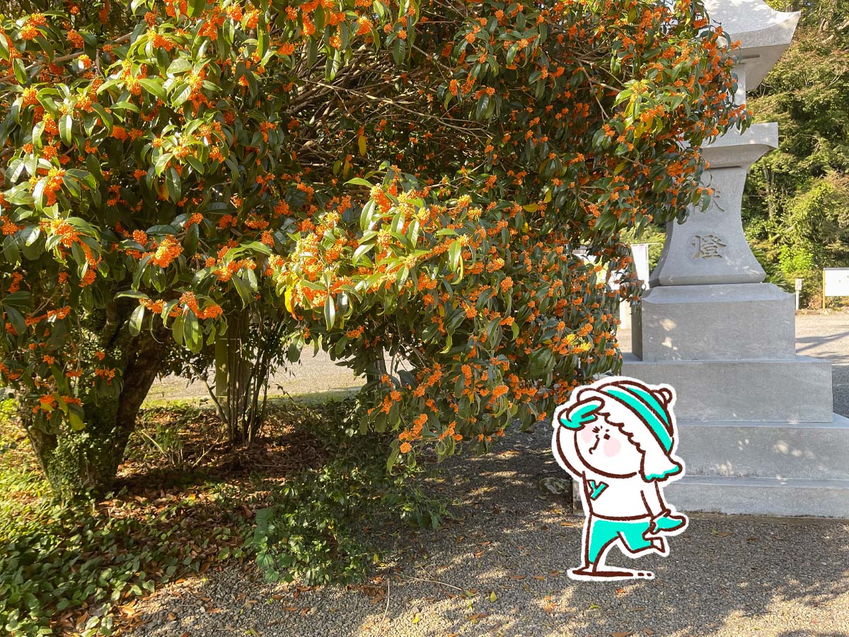 パワースポットの「東霧島神社(つまきりしまじんじゃ)」に行ってみたよ／宮崎県都城市