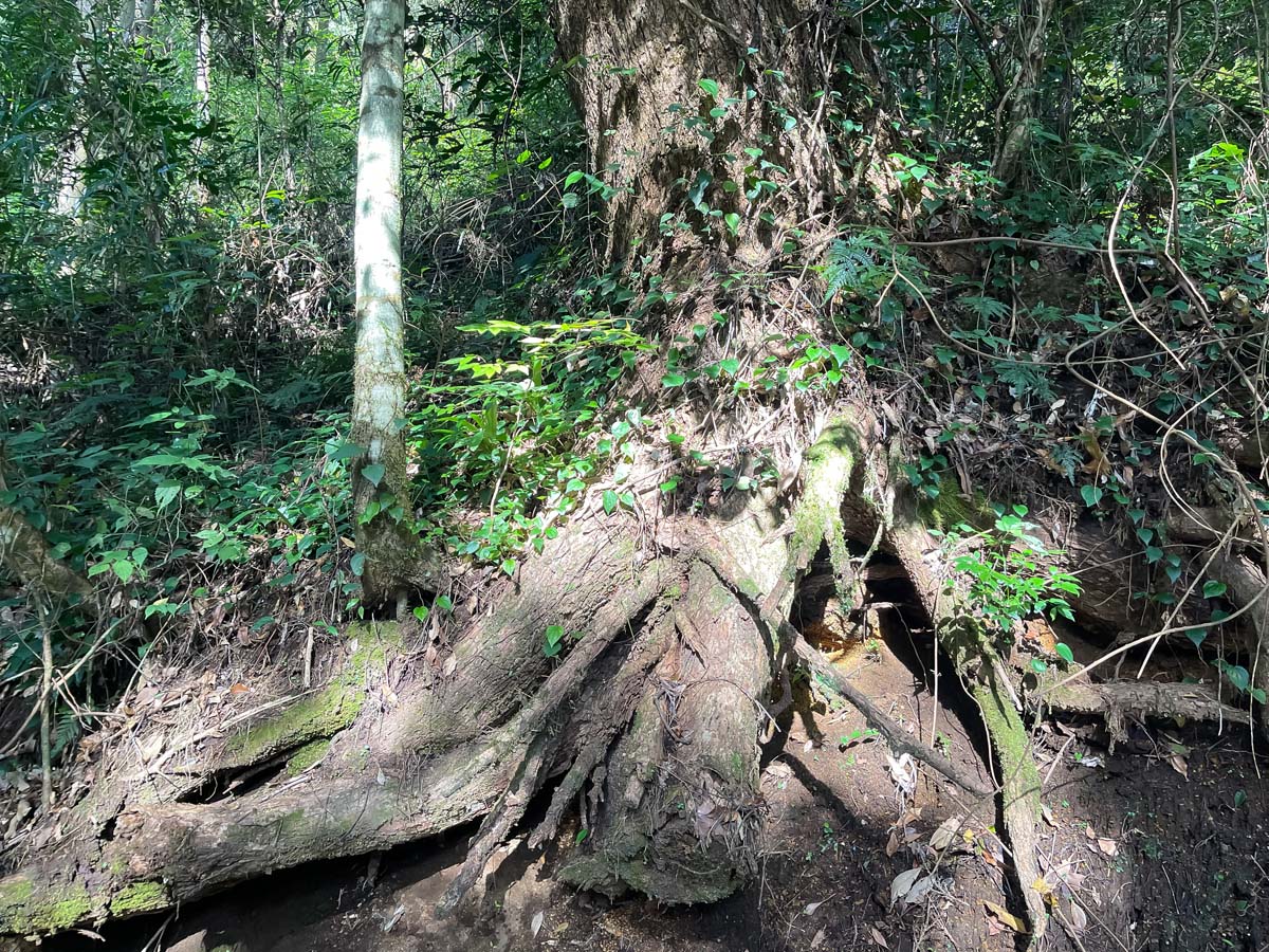 パワースポットの「東霧島神社(つまきりしまじんじゃ)」に行ってみたよ／宮崎県都城市