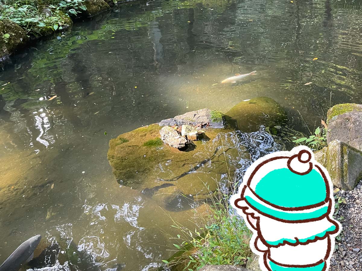 パワースポットの「東霧島神社(つまきりしまじんじゃ)」に行ってみたよ／宮崎県都城市