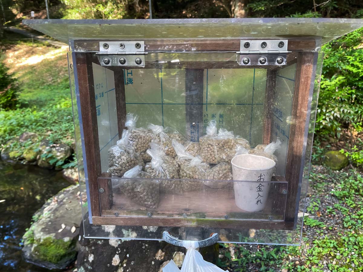 パワースポットの「東霧島神社(つまきりしまじんじゃ)」に行ってみたよ／宮崎県都城市