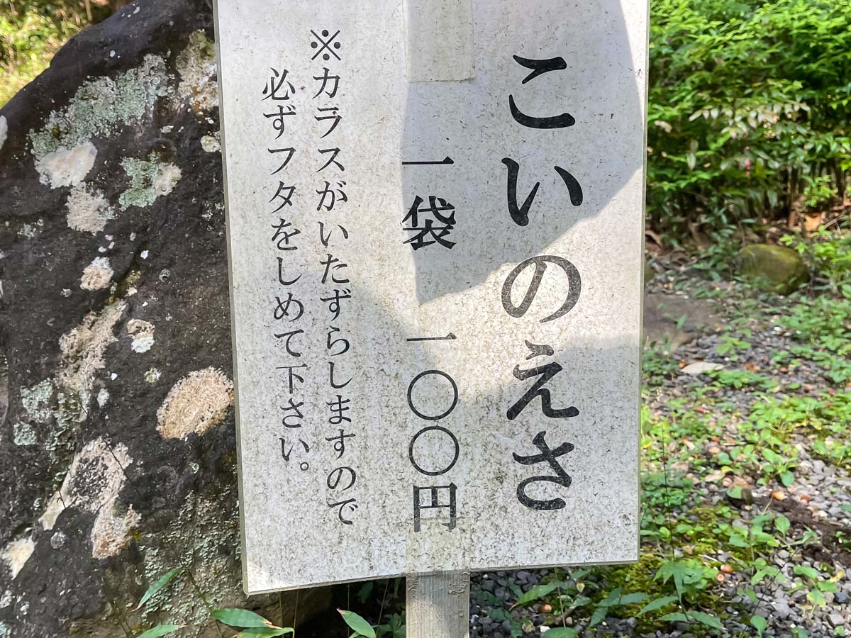 パワースポットの「東霧島神社(つまきりしまじんじゃ)」に行ってみたよ／宮崎県都城市