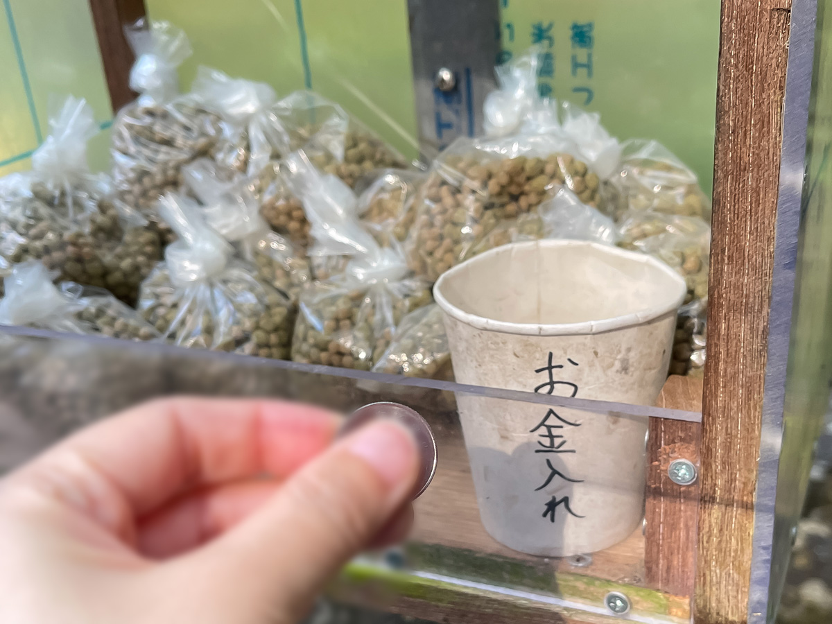 パワースポットの「東霧島神社(つまきりしまじんじゃ)」に行ってみたよ／宮崎県都城市