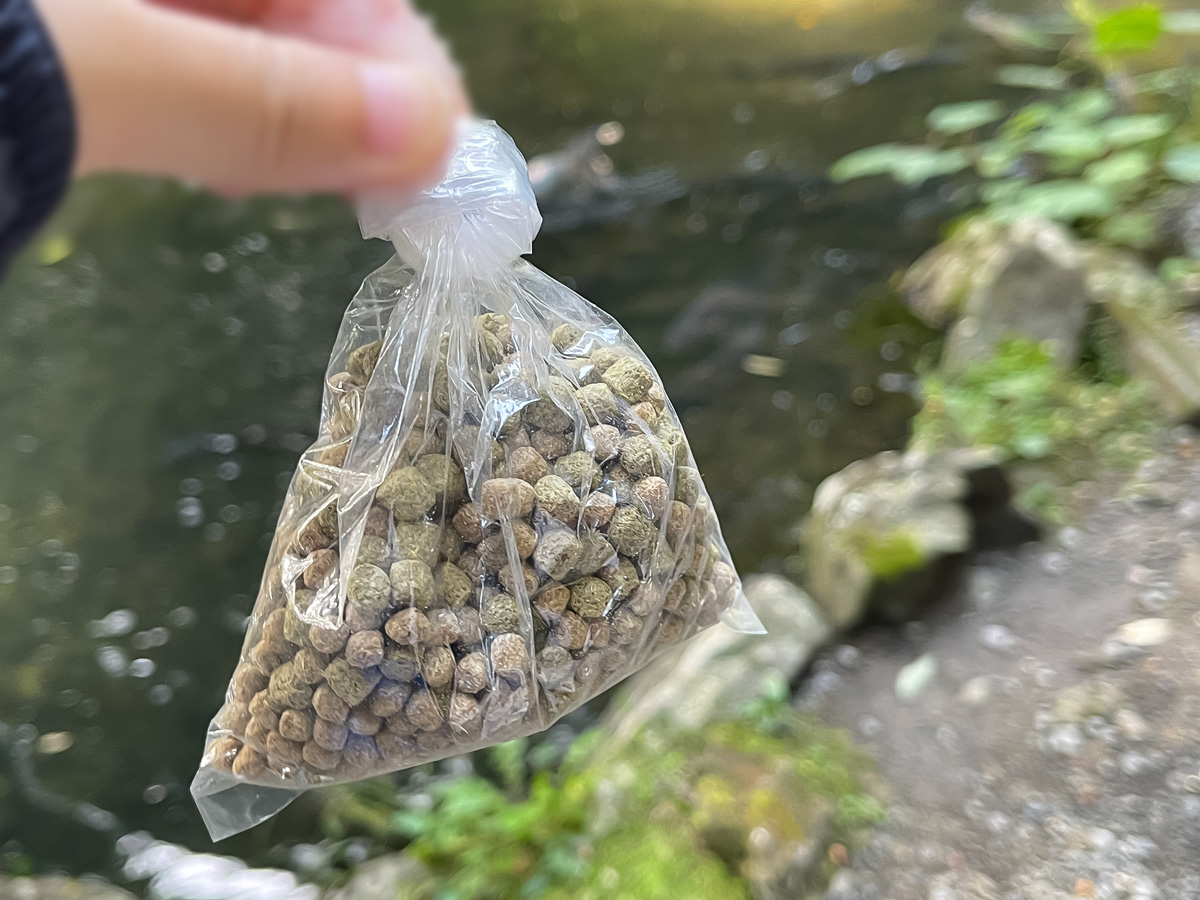 パワースポットの「東霧島神社(つまきりしまじんじゃ)」に行ってみたよ／宮崎県都城市