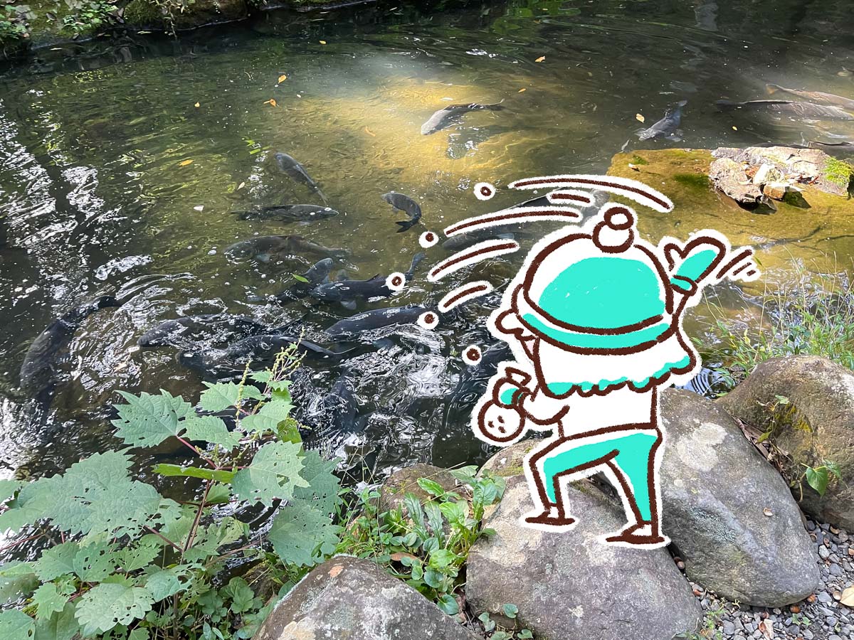 パワースポットの「東霧島神社(つまきりしまじんじゃ)」に行ってみたよ／宮崎県都城市