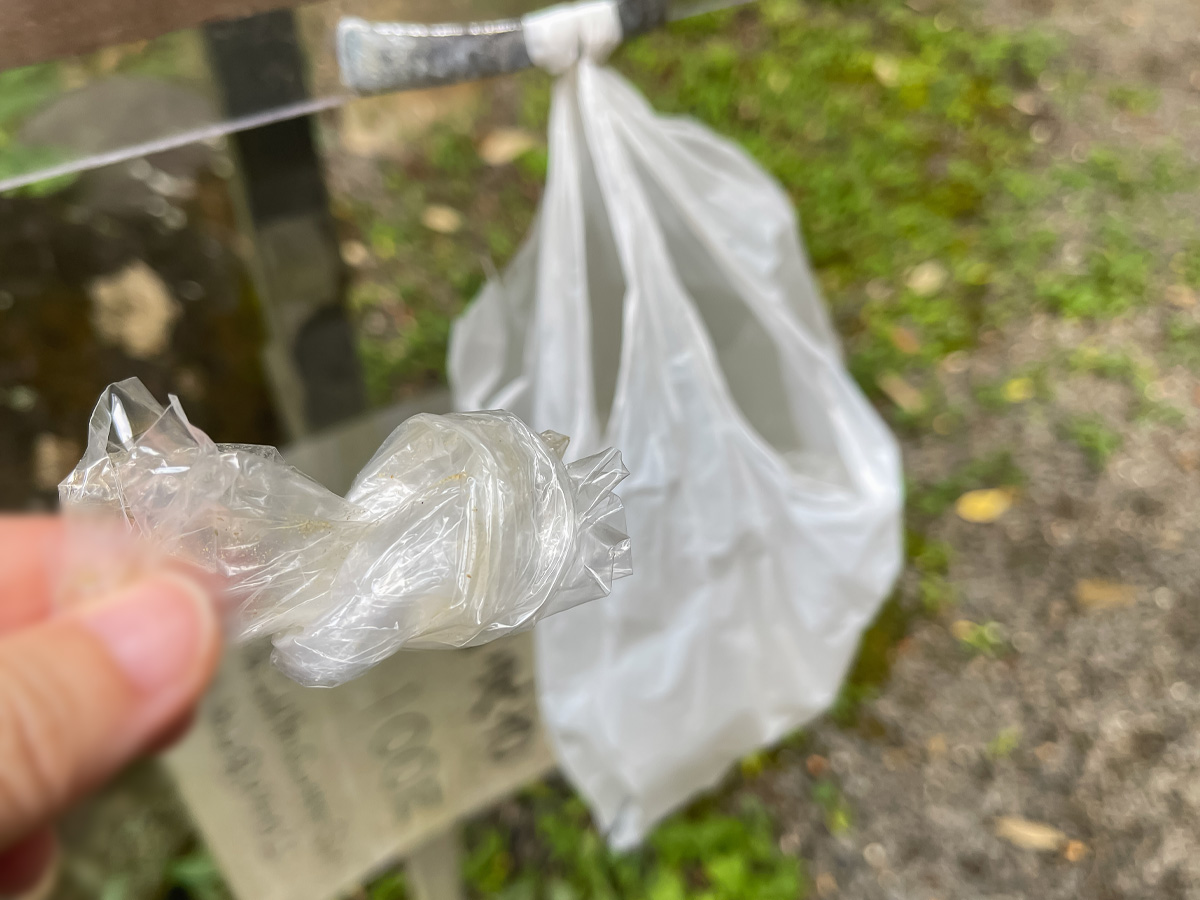 パワースポットの「東霧島神社(つまきりしまじんじゃ)」に行ってみたよ／宮崎県都城市