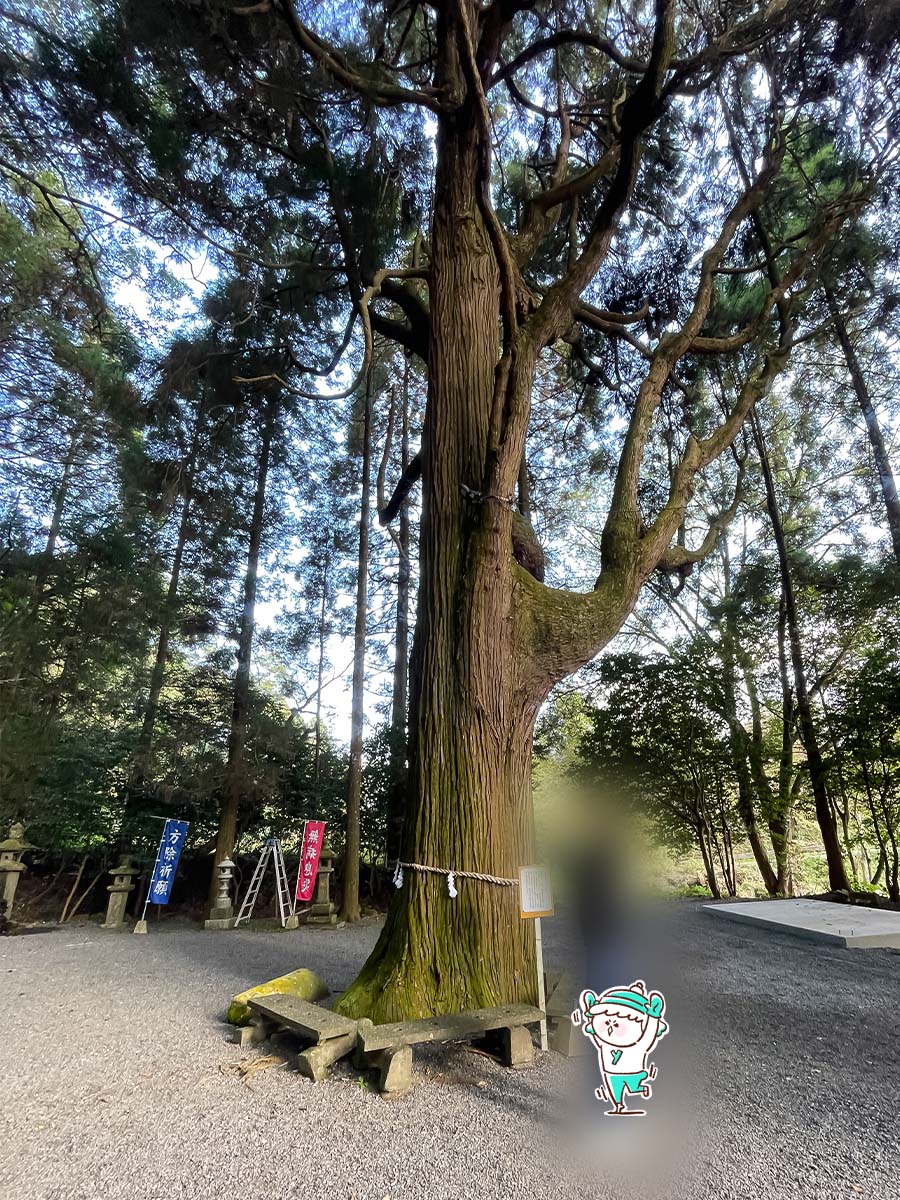 パワースポットの「東霧島神社(つまきりしまじんじゃ)」に行ってみたよ／宮崎県都城市