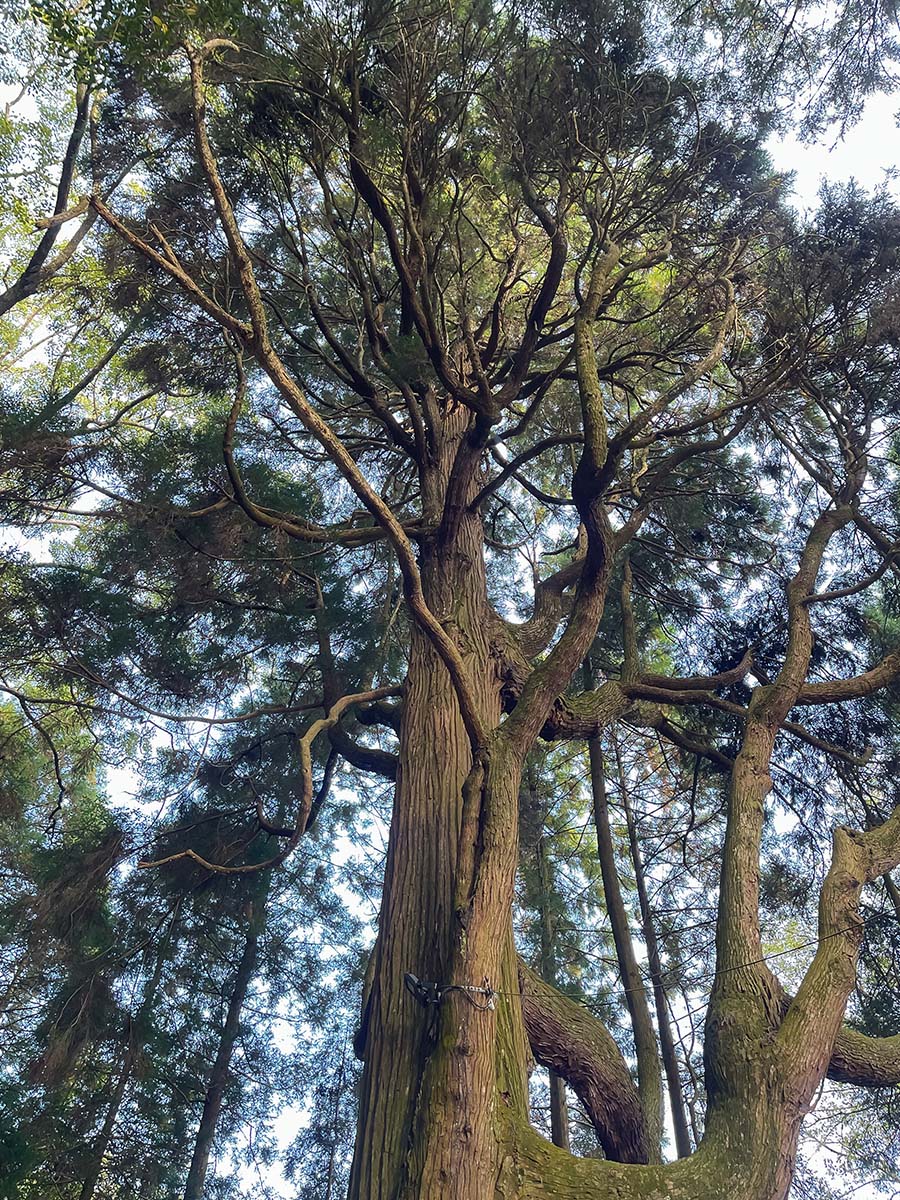 パワースポットの「東霧島神社(つまきりしまじんじゃ)」に行ってみたよ／宮崎県都城市