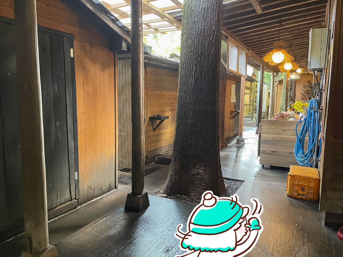 地鶏料理専門店「宮崎小林 地鶏の里」でお刺身盛合せ、親子孫丼食べたよ／宮崎県小林市