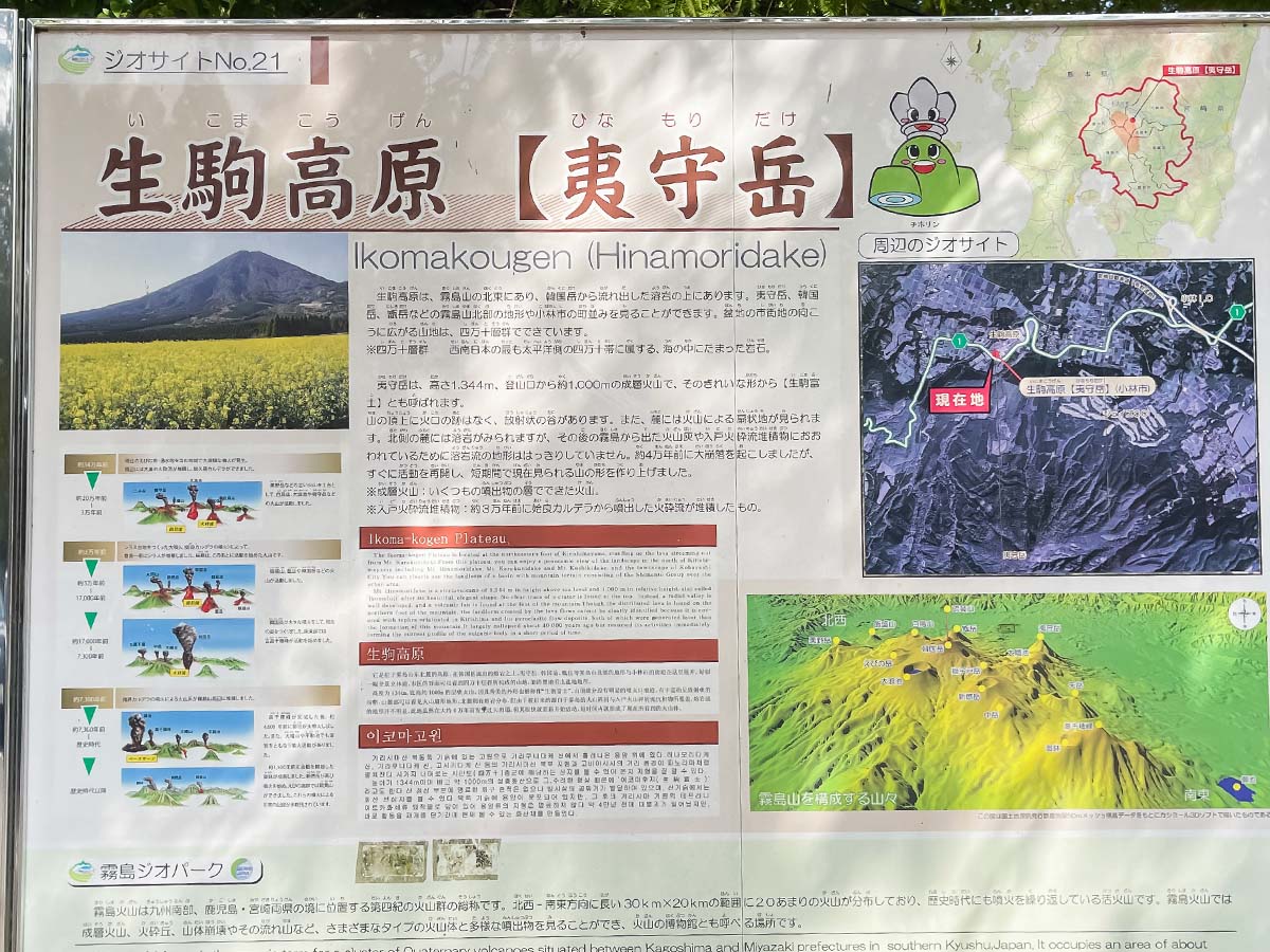 生駒高原「花の駅」にコスモスの花畑を見に行ってみたよ／宮崎県小林市