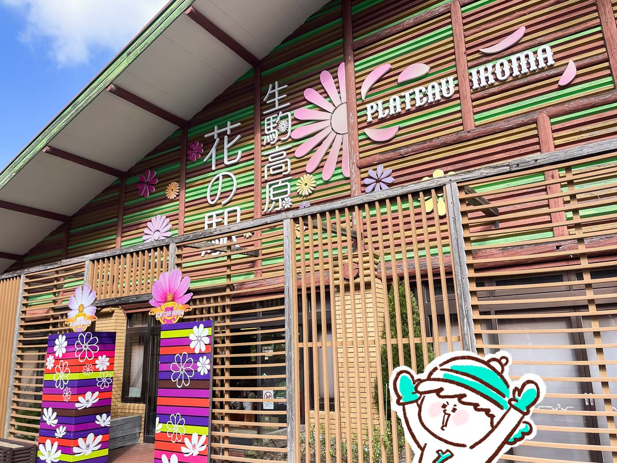 生駒高原「花の駅」にコスモスの花畑を見に行ってみたよ／宮崎県小林市