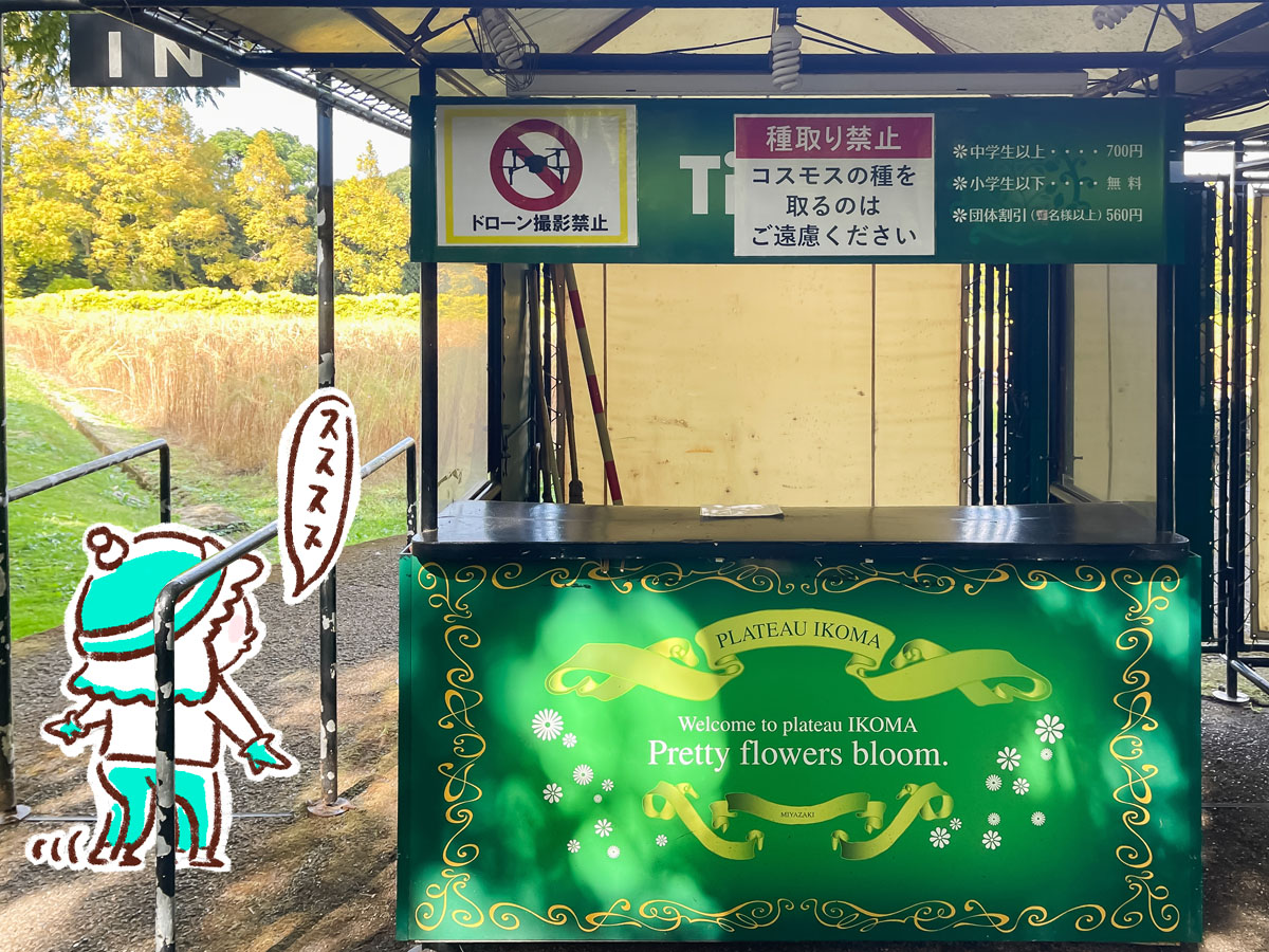 生駒高原「花の駅」にコスモスの花畑を見に行ってみたよ／宮崎県小林市