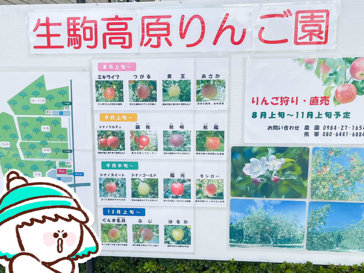 「生駒高原りんご園」で"ふじ"と"ぐんま名月"のりんご狩りしてみた！／宮崎県小林市