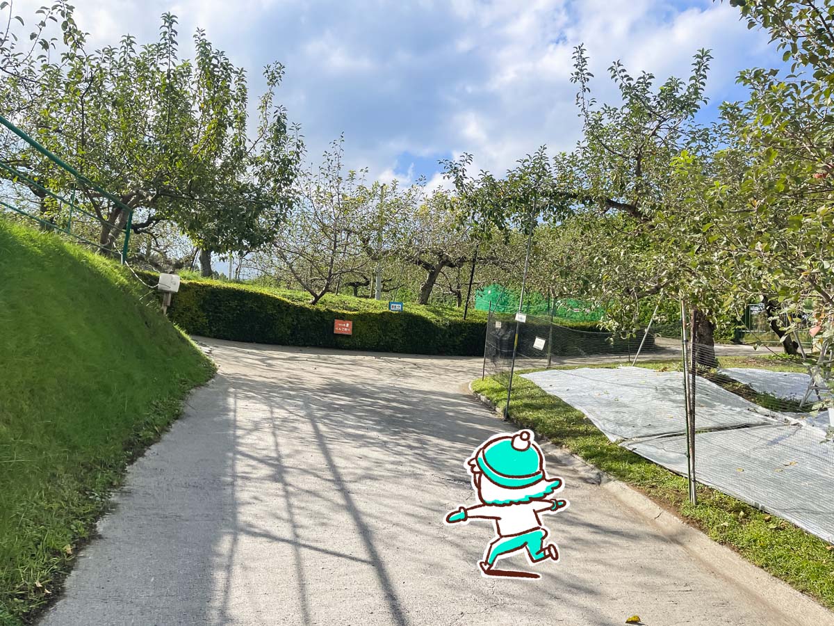 「生駒高原りんご園」で"ふじ"と"ぐんま名月"のりんご狩りしてみた！／宮崎県小林市