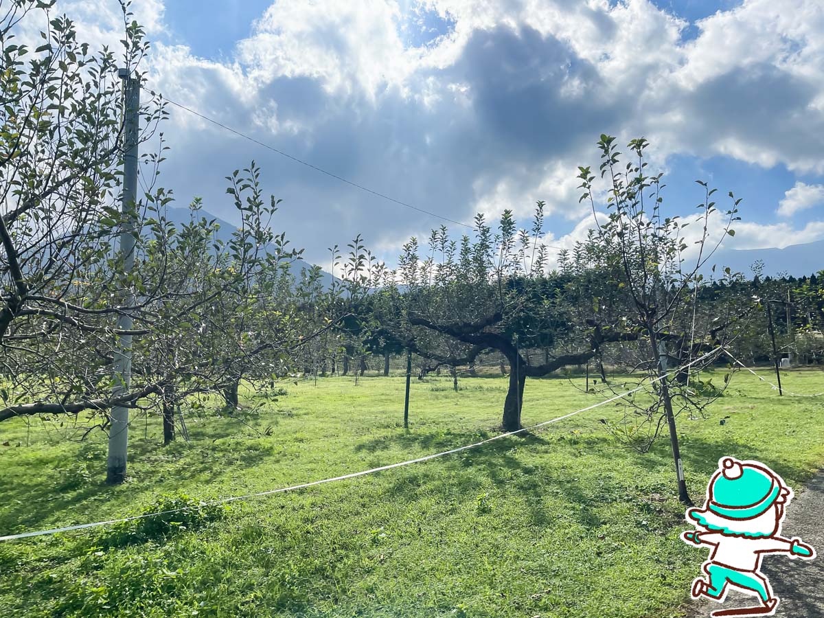 「生駒高原りんご園」で"ふじ"と"ぐんま名月"のりんご狩りしてみた！／宮崎県小林市