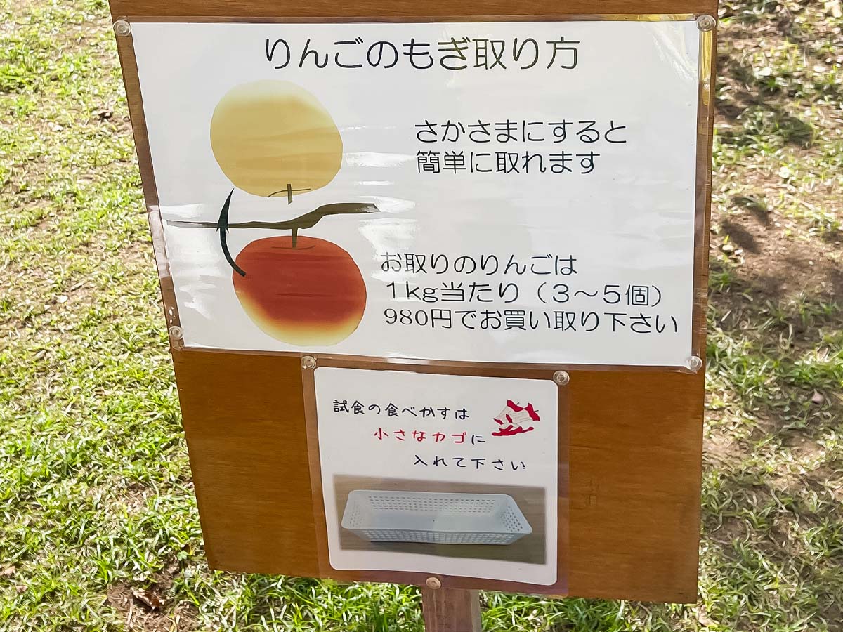 「生駒高原りんご園」で"ふじ"と"ぐんま名月"のりんご狩りしてみた！／宮崎県小林市