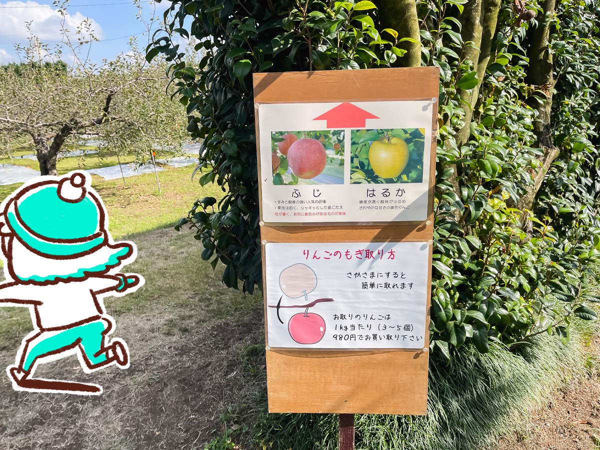 「生駒高原りんご園」で"ふじ"と"ぐんま名月"のりんご狩りしてみた！／宮崎県小林市