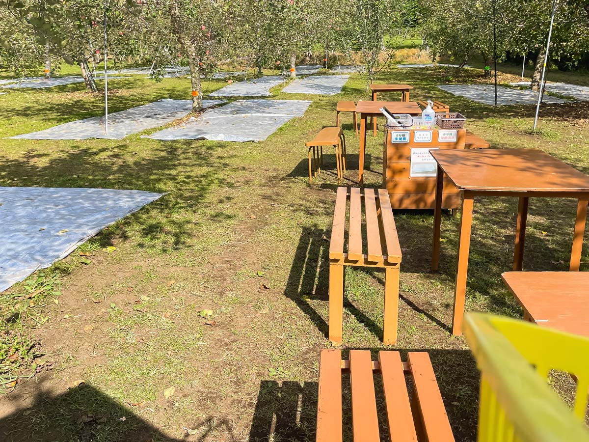 「生駒高原りんご園」で"ふじ"と"ぐんま名月"のりんご狩りしてみた！／宮崎県小林市