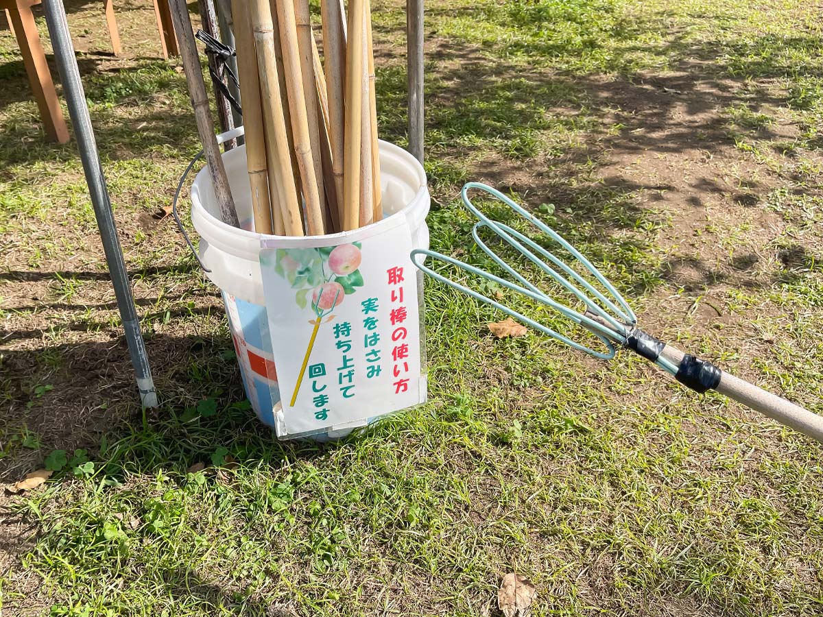 「生駒高原りんご園」で"ふじ"と"ぐんま名月"のりんご狩りしてみた！／宮崎県小林市