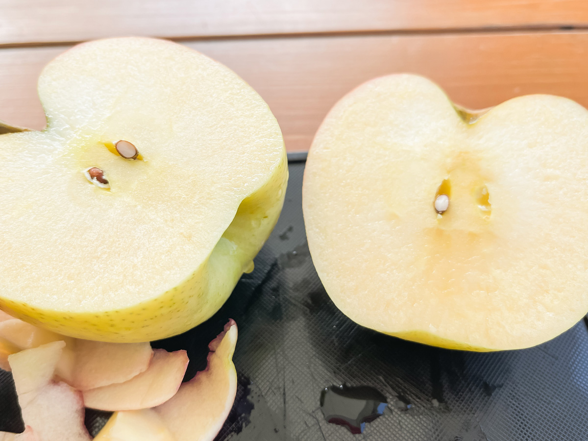「生駒高原りんご園」で"ふじ"と"ぐんま名月"のりんご狩りしてみた！／宮崎県小林市