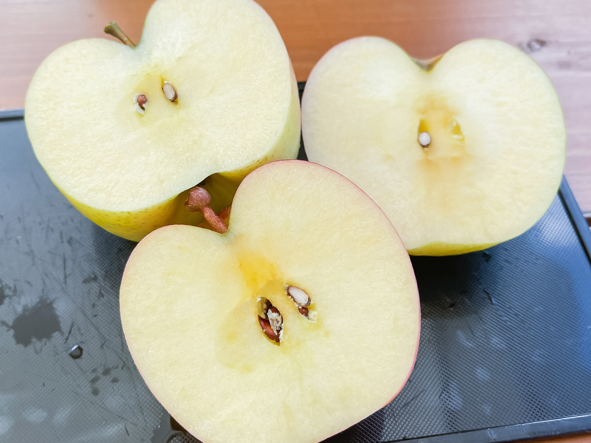 「生駒高原りんご園」で"ふじ"と"ぐんま名月"のりんご狩りしてみた！／宮崎県小林市