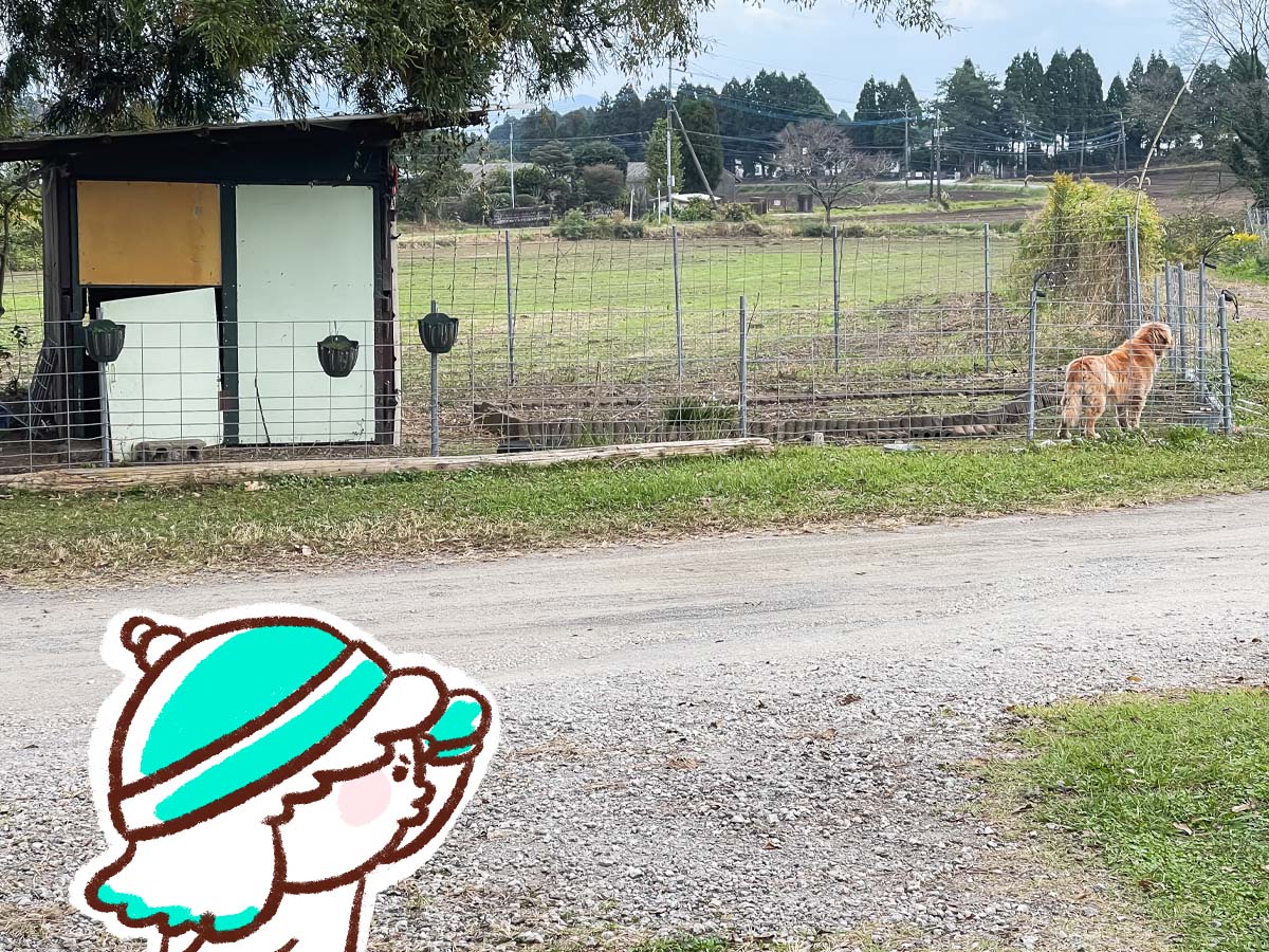 「高原アイスクリーム研究所」で黒蜜きなこソフトクリームパフェ食べたよ/宮崎県高原町