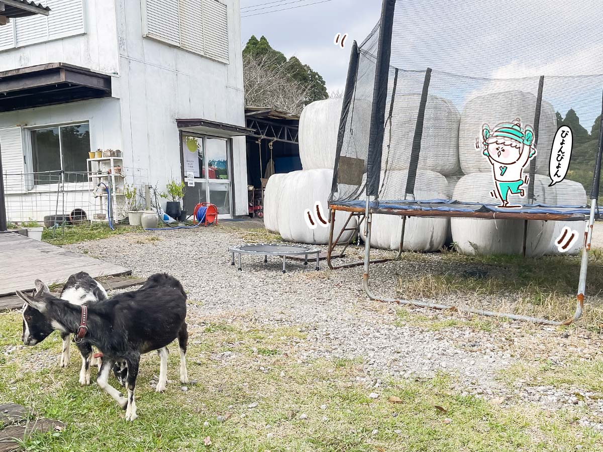 「高原アイスクリーム研究所」で黒蜜きなこソフトクリームパフェ食べたよ/宮崎県高原町