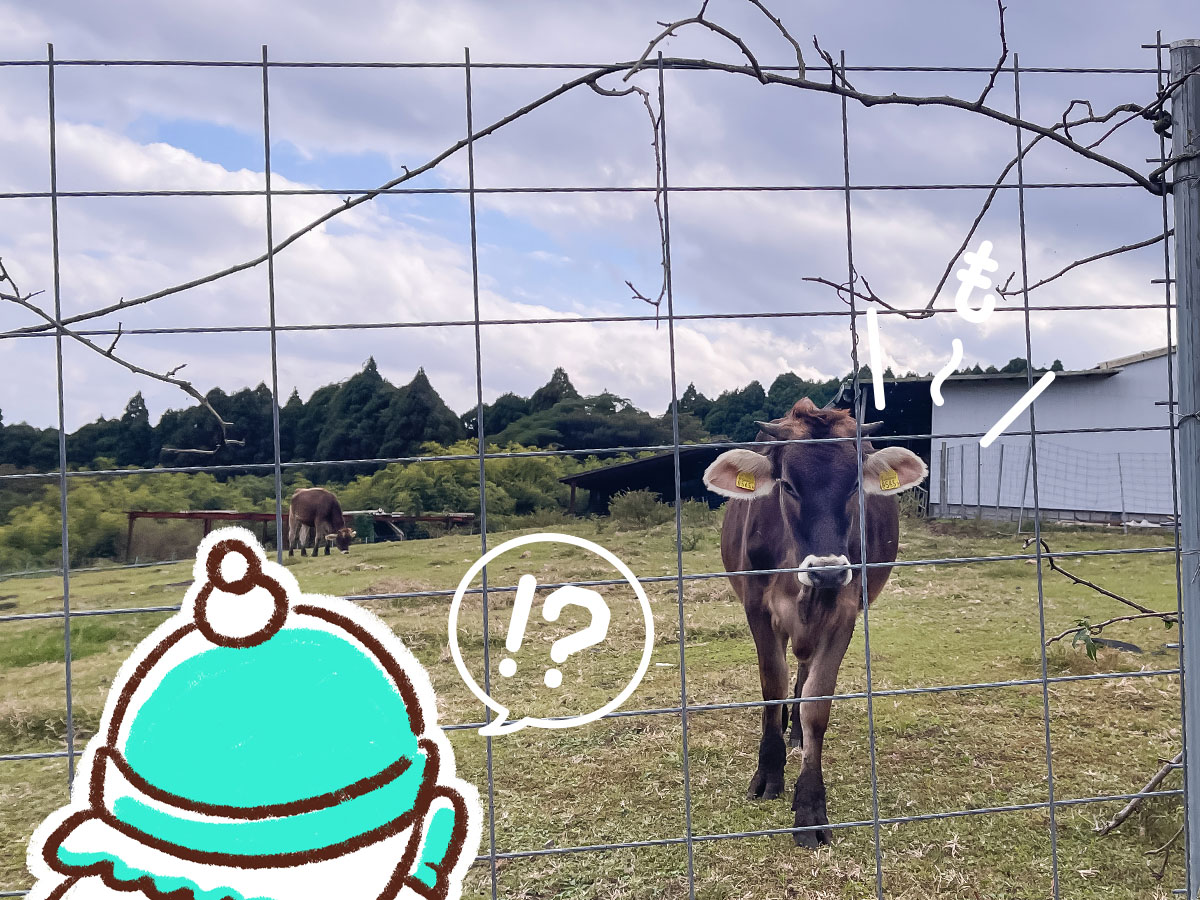 「高原アイスクリーム研究所」で黒蜜きなこソフトクリームパフェ食べたよ/宮崎県高原町