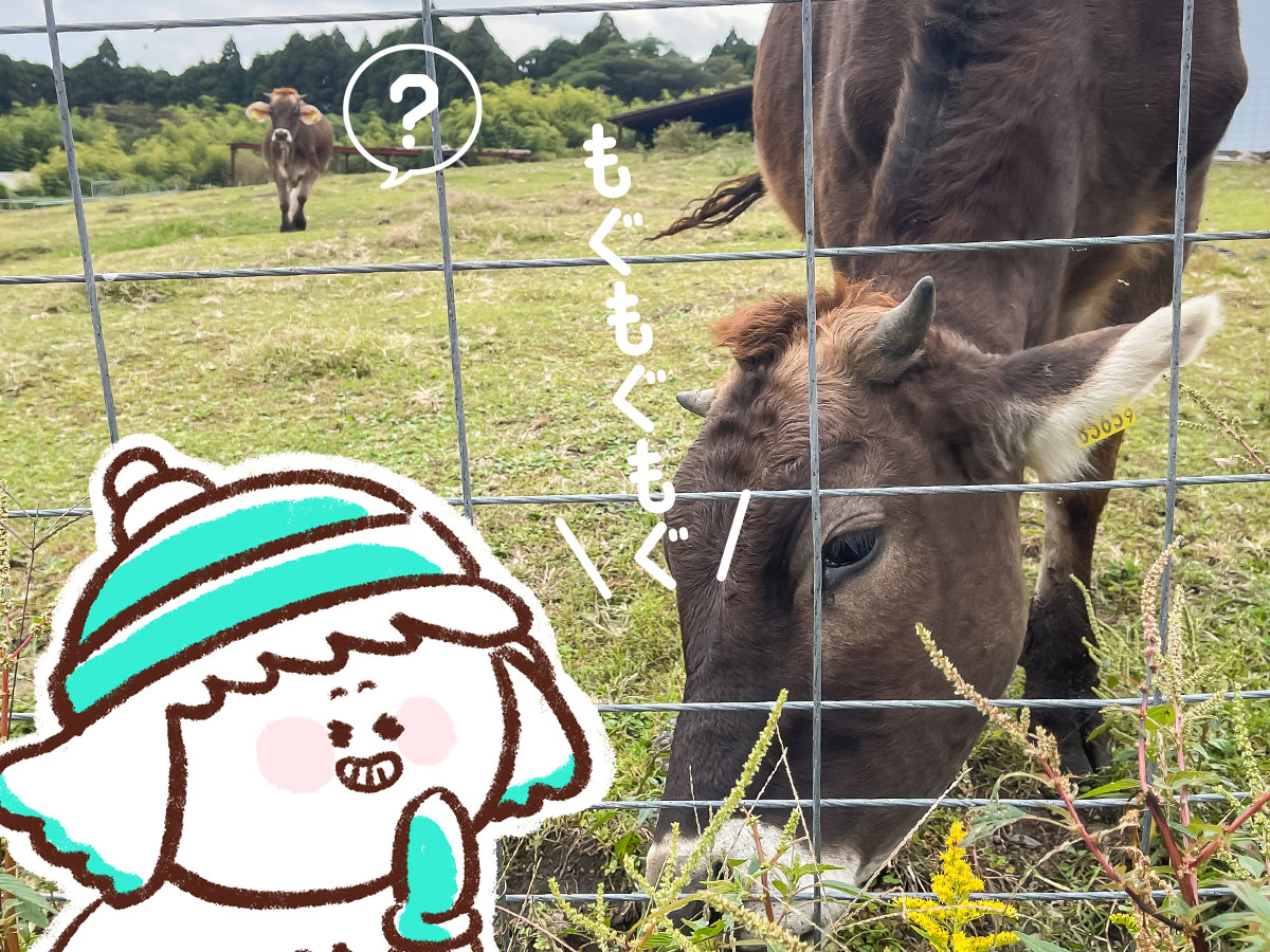 「高原アイスクリーム研究所」で黒蜜きなこソフトクリームパフェ食べたよ/宮崎県高原町