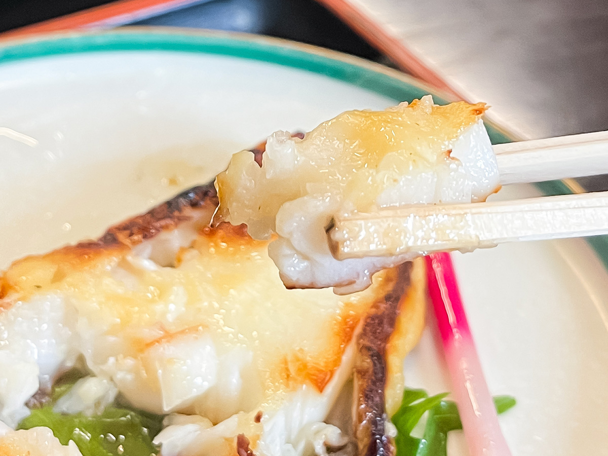 とんかつ割烹「かつ半」で期間限定カキフライ定食、むつ西京焼き定食、山かけ食べたよ!/横浜・桜木町