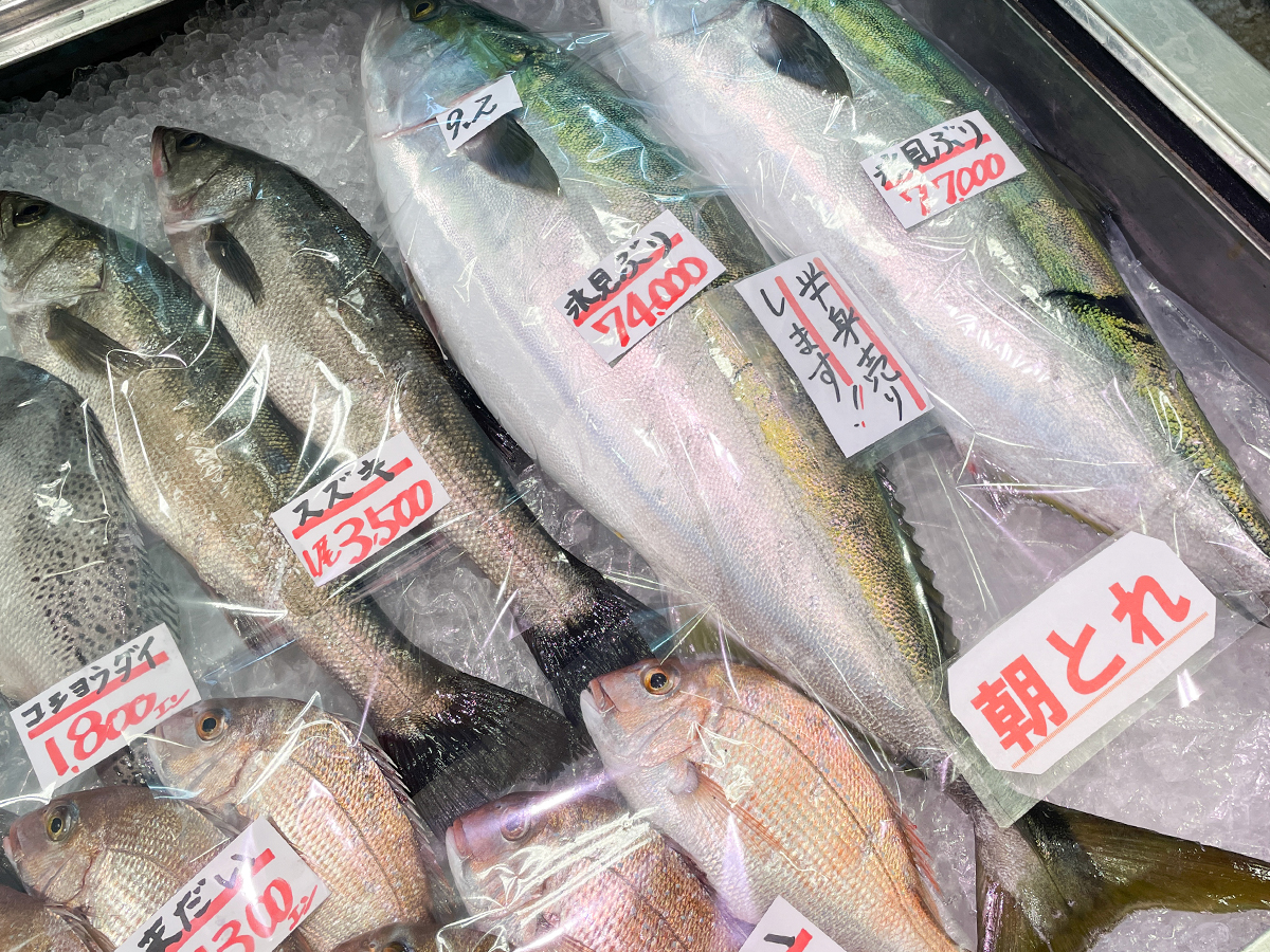 「ばんや鮮魚直売所 (森本漁業)」で、ブリの柵を切ってお刺身にしてもらったよ/富山県 氷見漁港場外市場 ひみ番屋街内