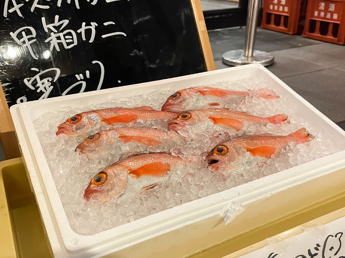 「魚どん亭」で甘エビとノドグロ、本ずわいがに、香箱がに食べたよ！／富山駅 とやマルシェ
